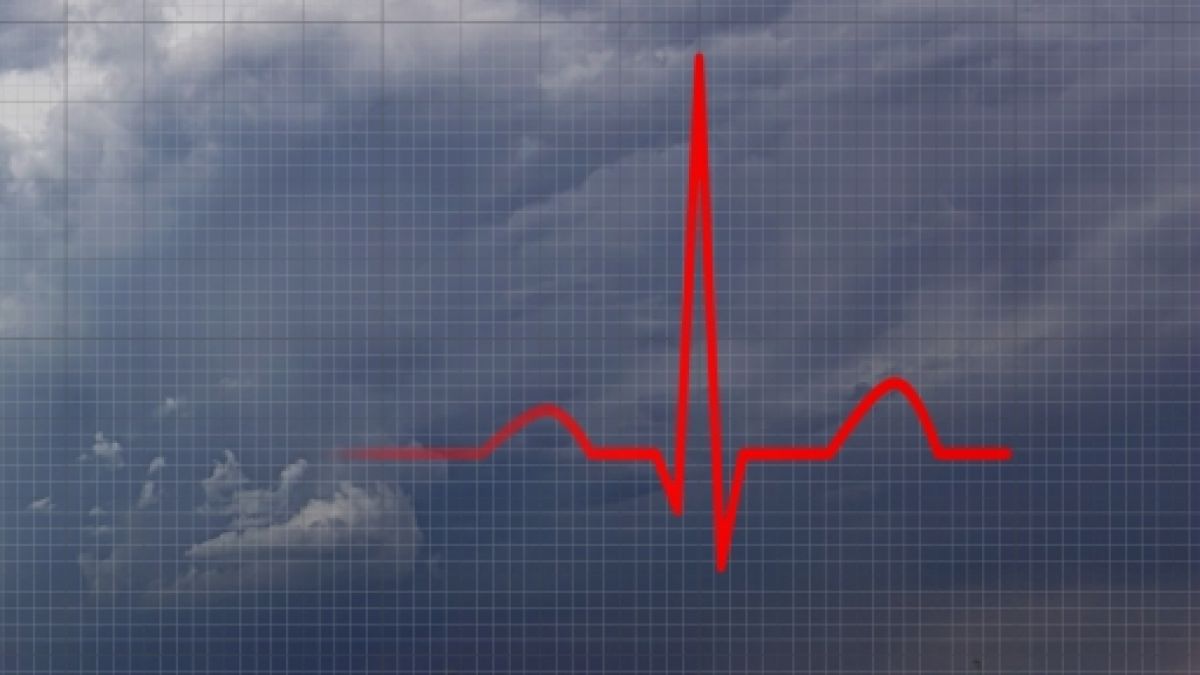 münster wetterfühlig - Article 1