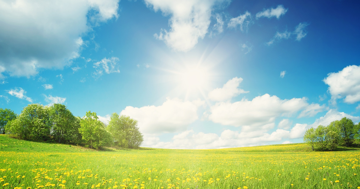 münster wetterfühlig - Article 2